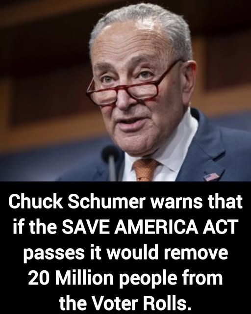 BREAKING: Chuck Schumer warns that if the SAVE AMERICA ACT passes it would remove 20 Million 'PEOPLE'  from the Voter Rolls.   Which 'people' Chuck?