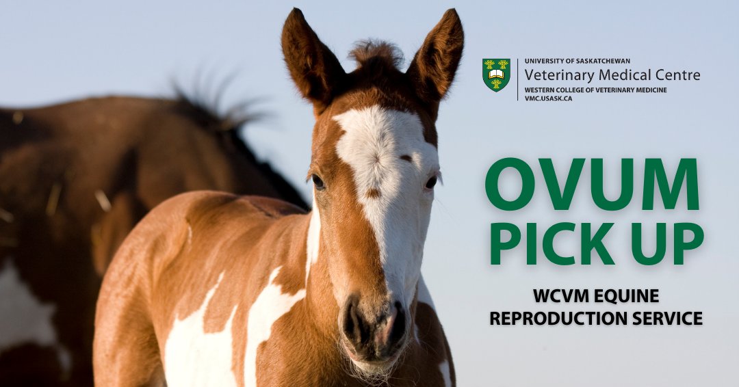 WCVM Today tweet media