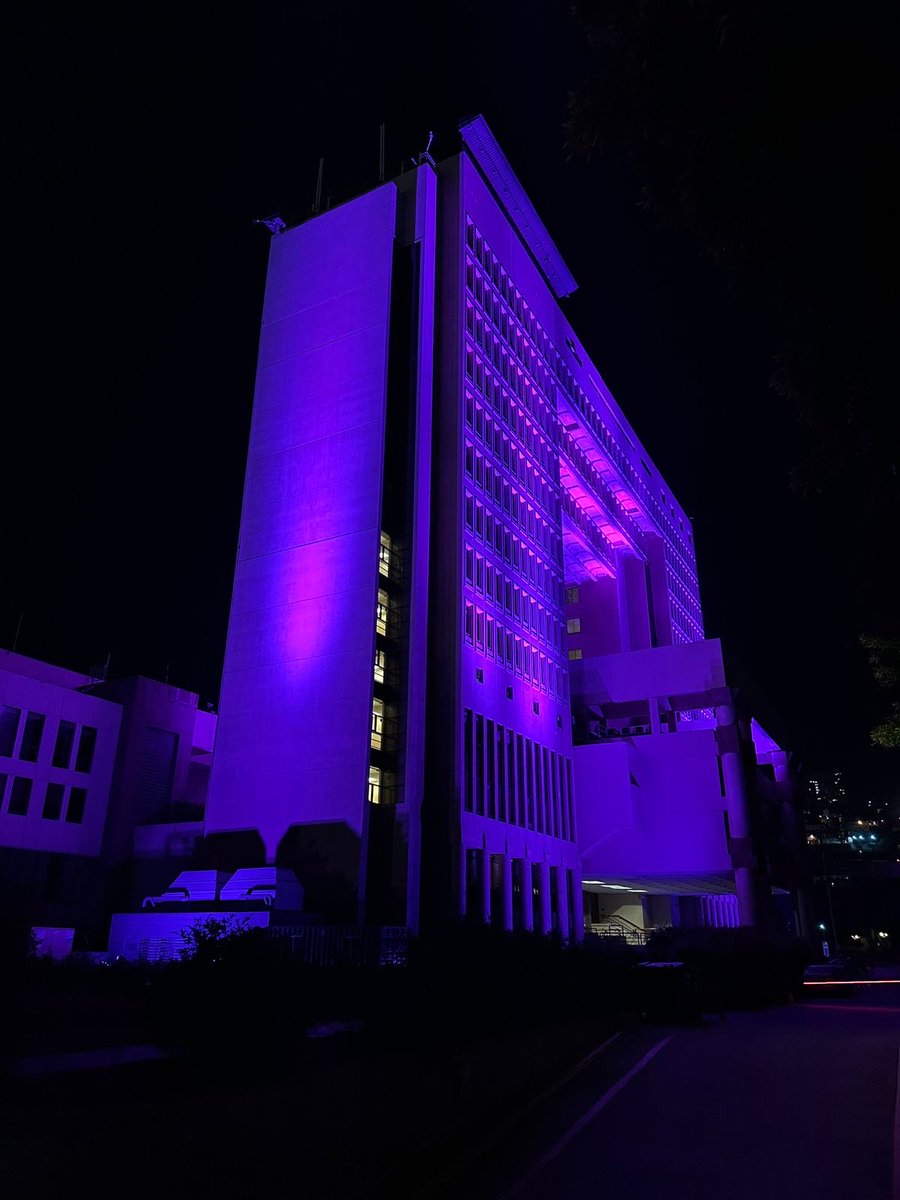 academia parlamentaria tweet media