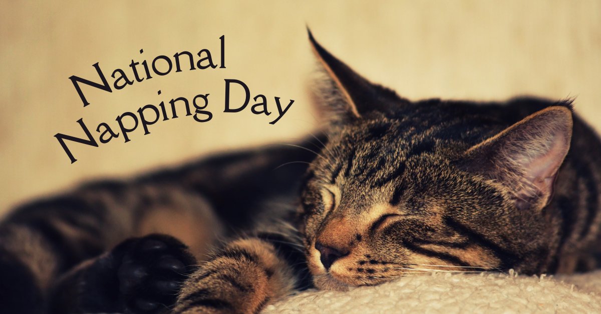 Midnight Apparel tweet media