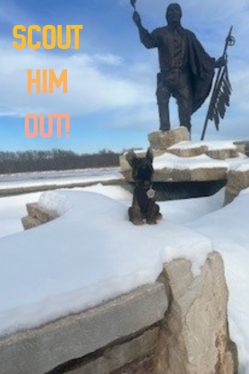 MN Sheriffs’ Association tweet media