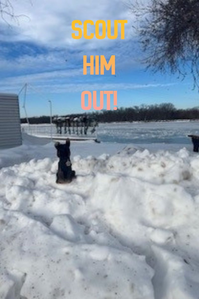 MN Sheriffs’ Association tweet media