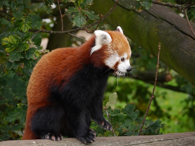 Jason Drollinger tweet media