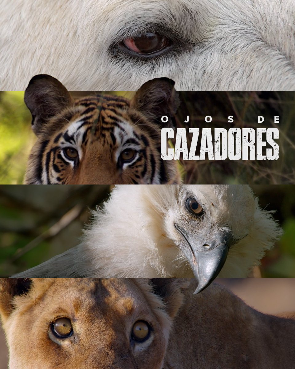 🌎 Discovery Channel tweet media