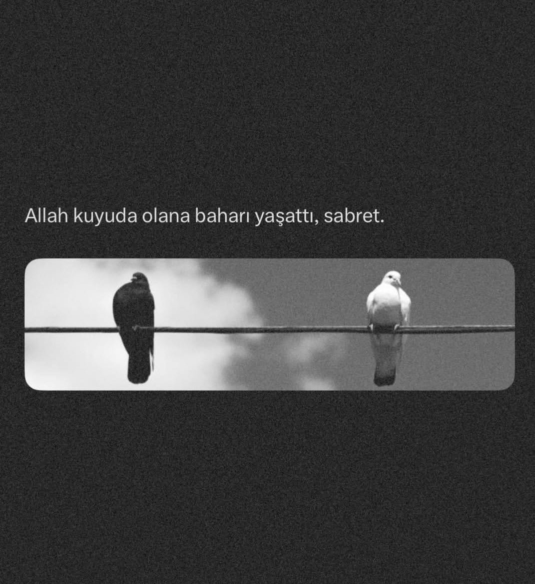 kitab-ül Sevda (@kitabulsevda) on Twitter photo 