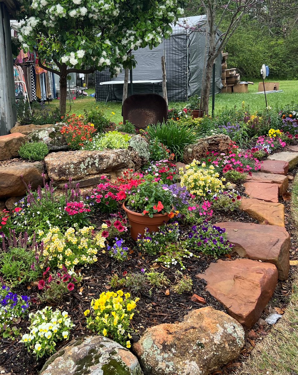 Travis County Environmental Quality tweet media