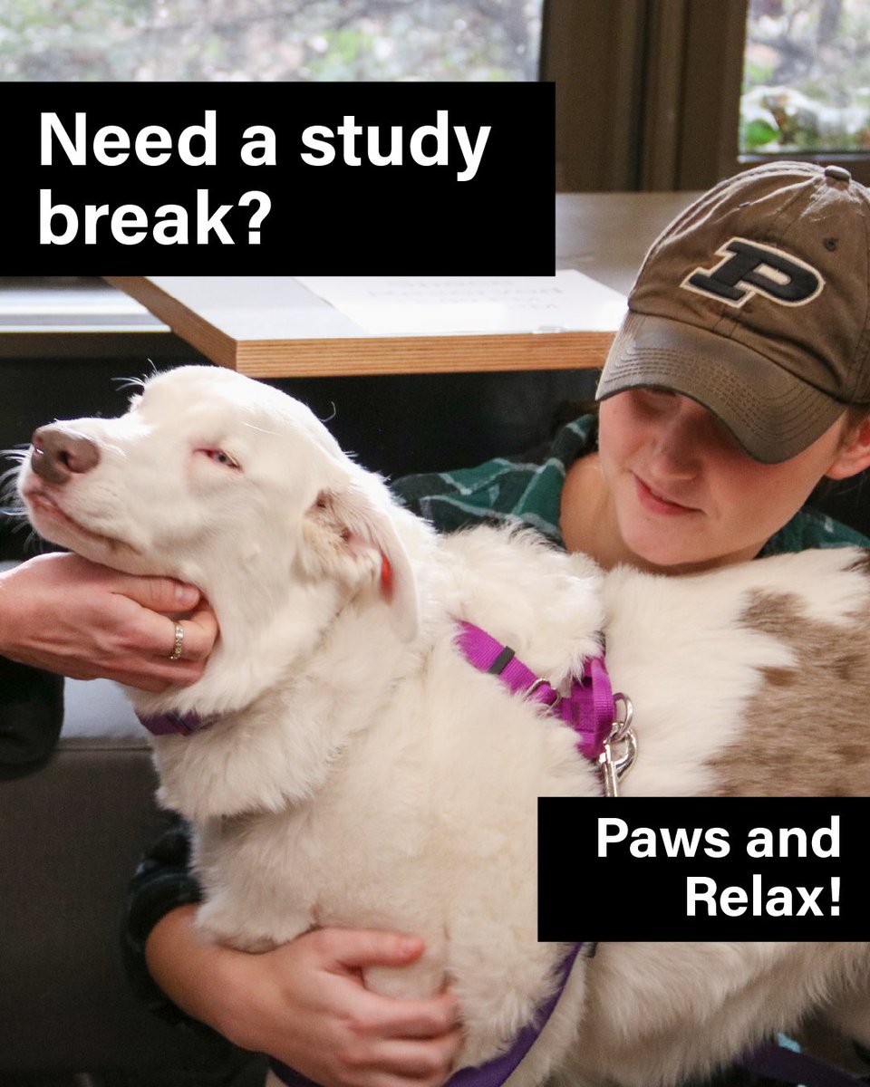 Purdue Libraries and School of Information Studies tweet media