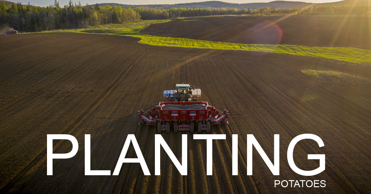 Spudnik Equipment tweet media