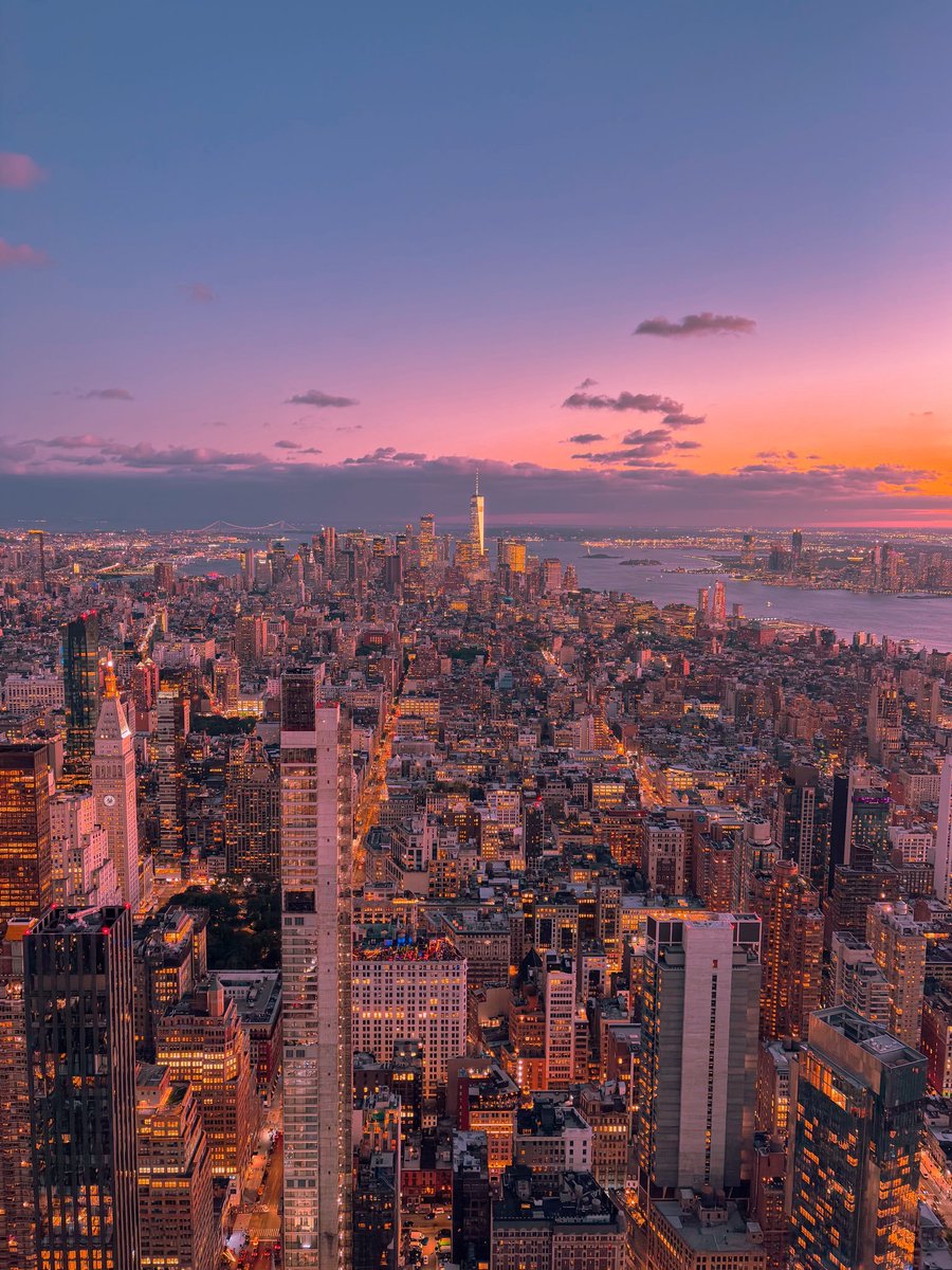 YIMBYLAND tweet media