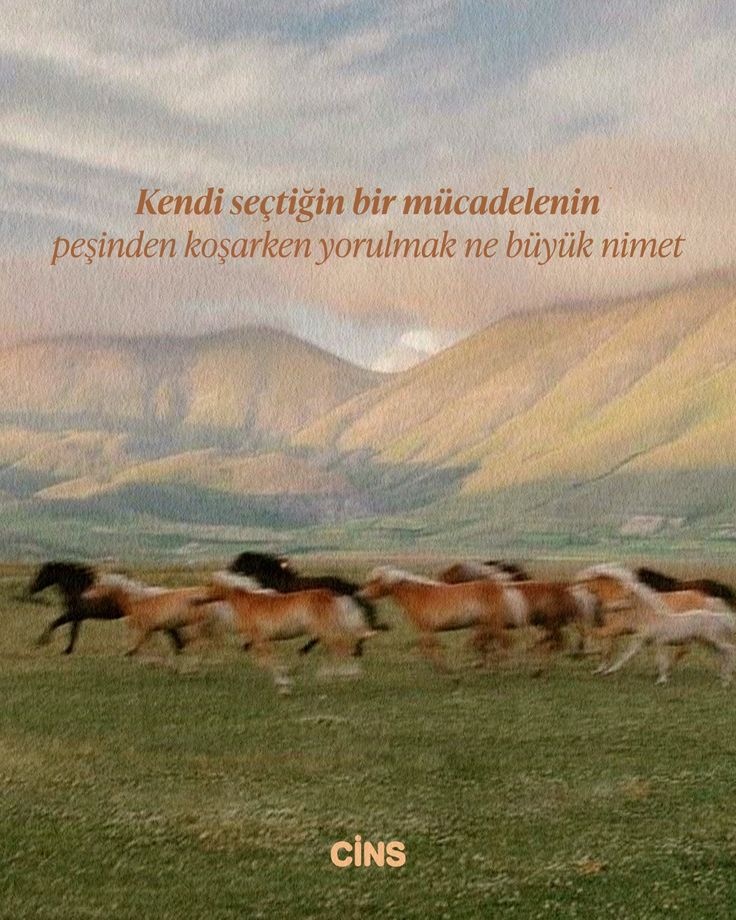 77Sayfa's tweet photo. 9 mart pazartesi https://t.co/rvEQcLWxpI