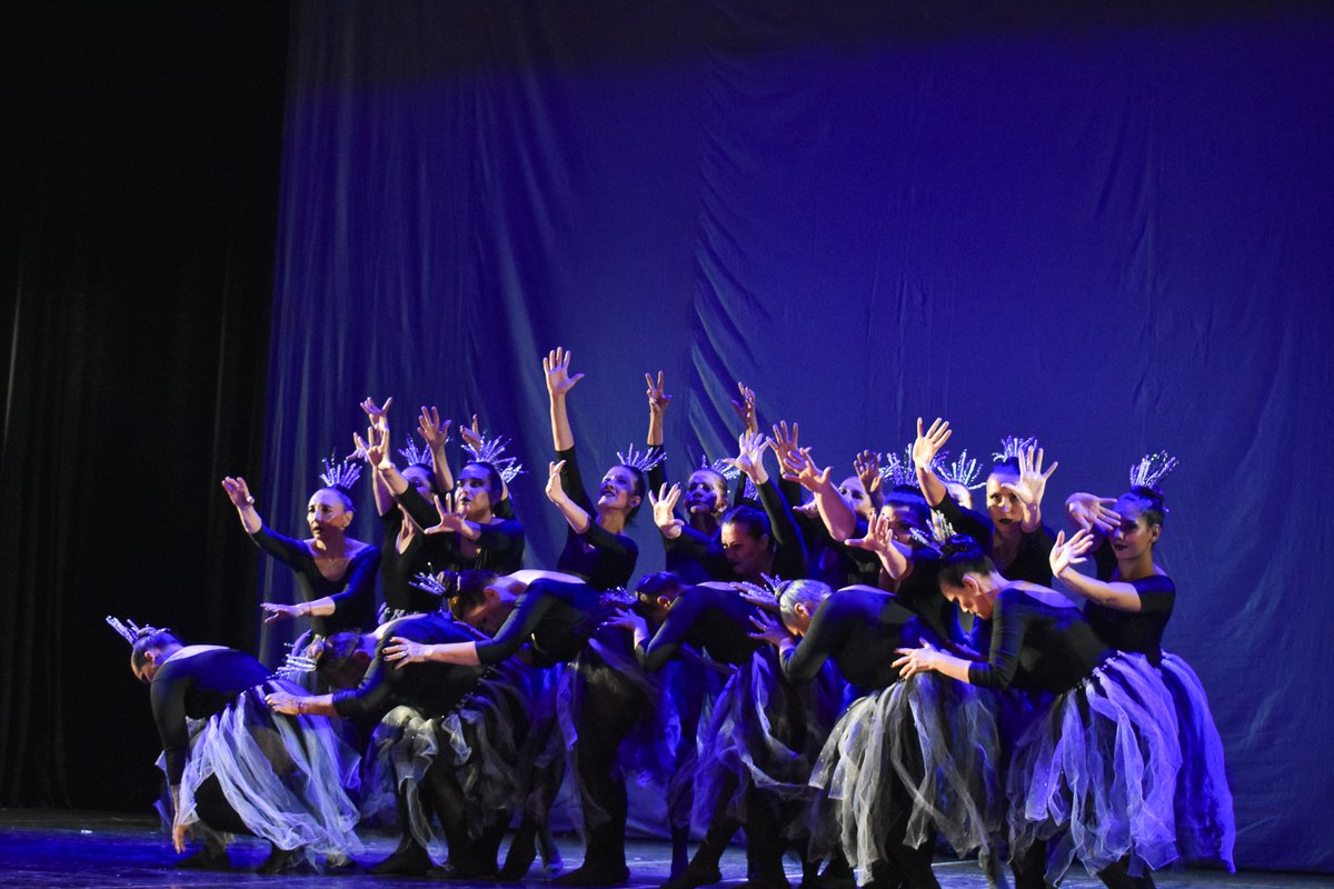 Claudia Gauto tweet media