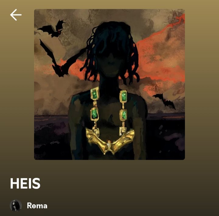 whizii 🏴‍☠️ tweet media