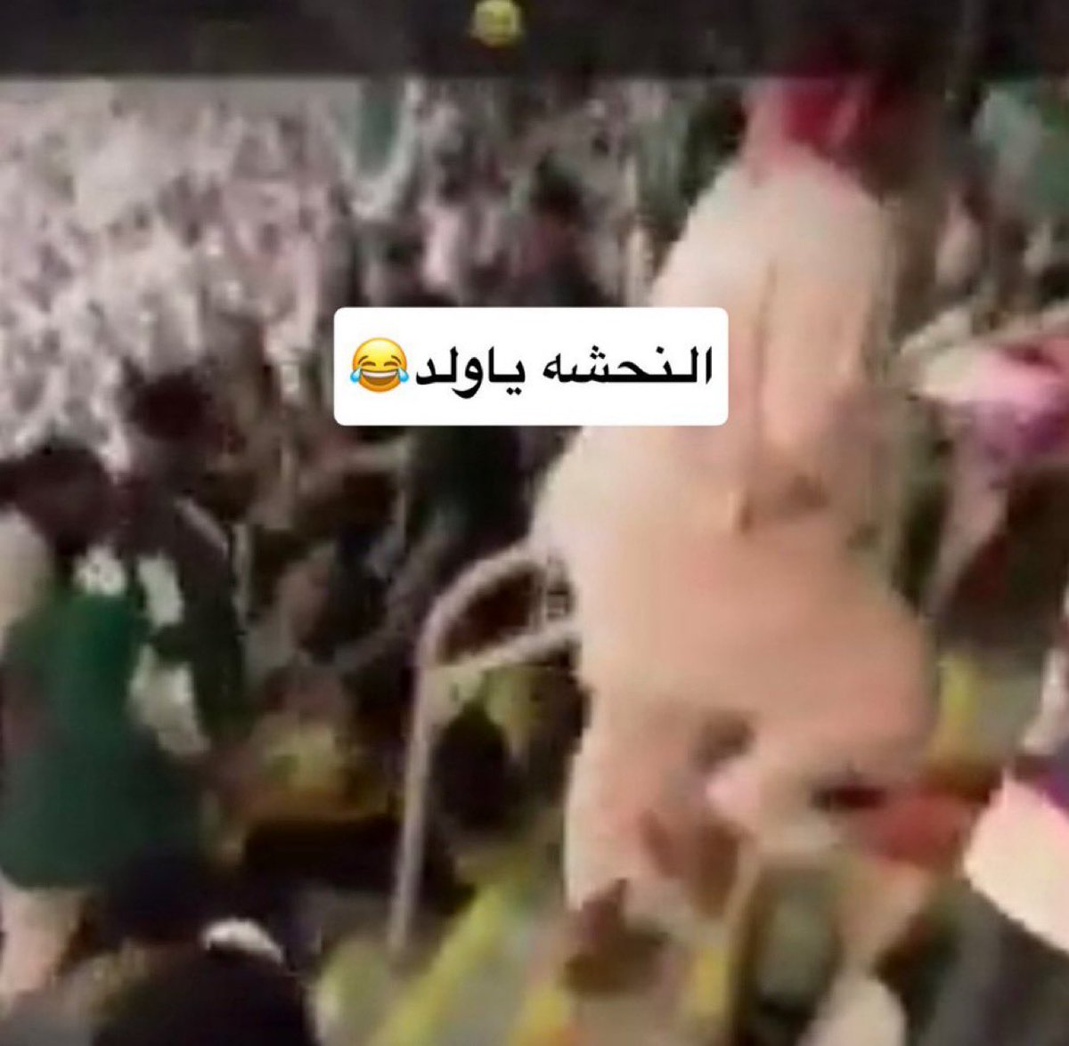 وسام tweet media