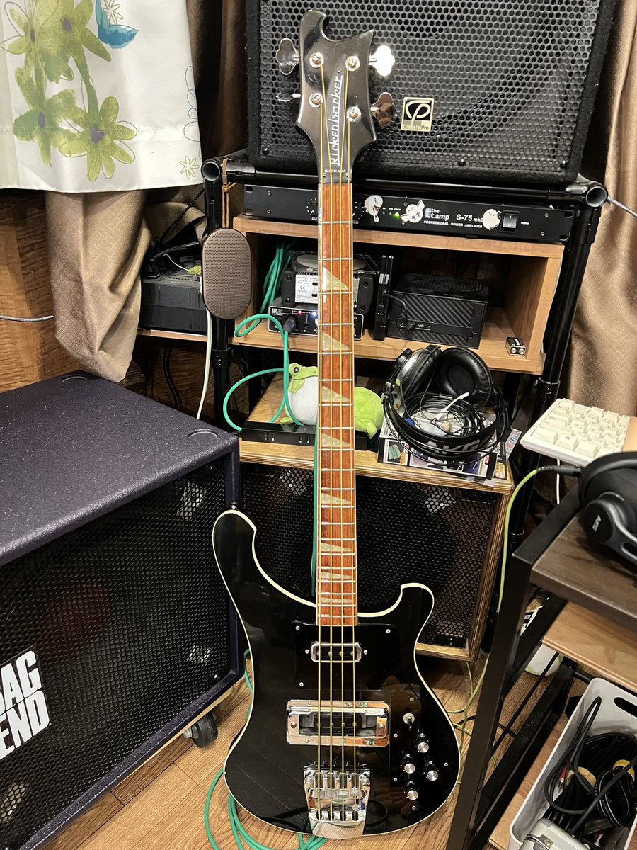 リッケンバッカーを借りたお礼として勝手に24Kメッキの弦を張る