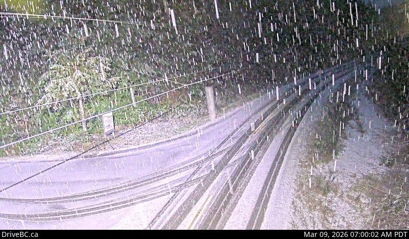 VibrantVictoria.ca tweet media