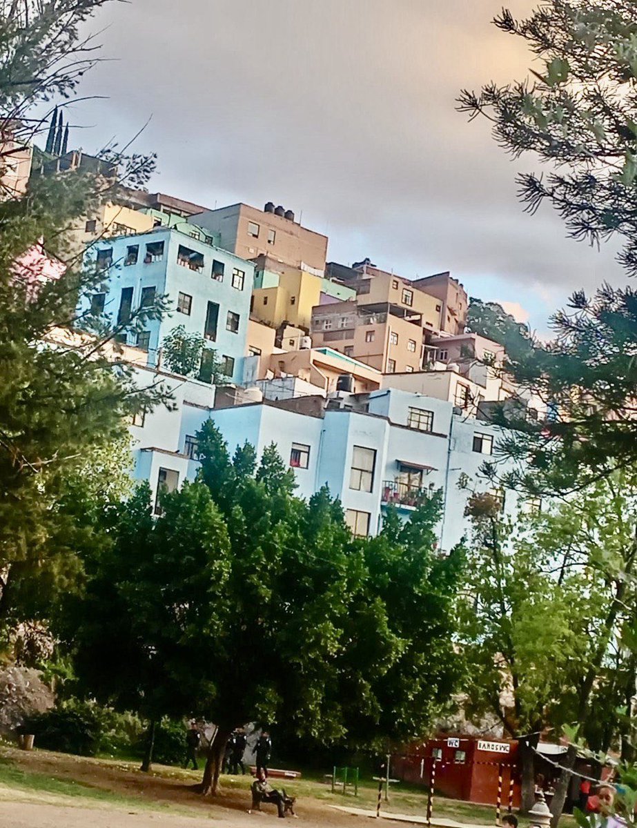 🌻 Marzo, mes de paisajes coloridos y esperanzas, florecientes. 🌻🍃

¡Que tengas el mejor inicio de semana! 😘

#GuanajuatoCapital 
#NuevoDía 
#Marzo 
#Color 
#FelizDía