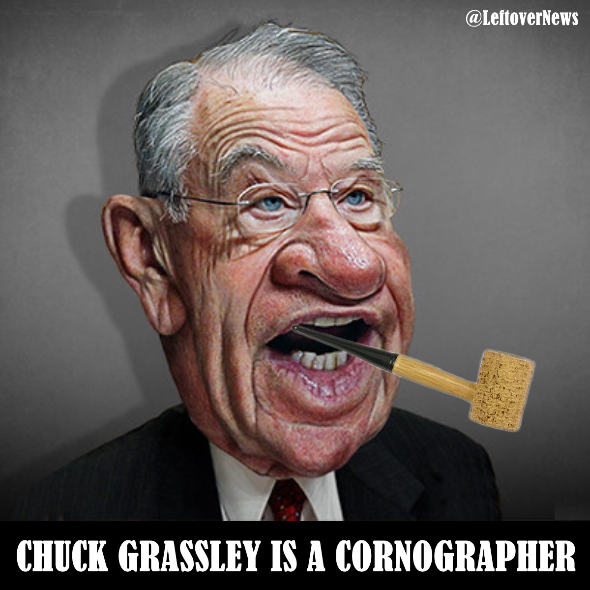 LeftoverNews's tweet photo. @ChuckGrassley Corny @ChuckGrassley is a #Cornographer https://t.co/3jeTn6lyyR