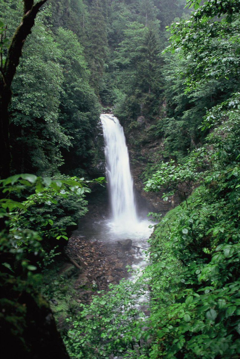 Oğuz Kurdoğlu tweet media
