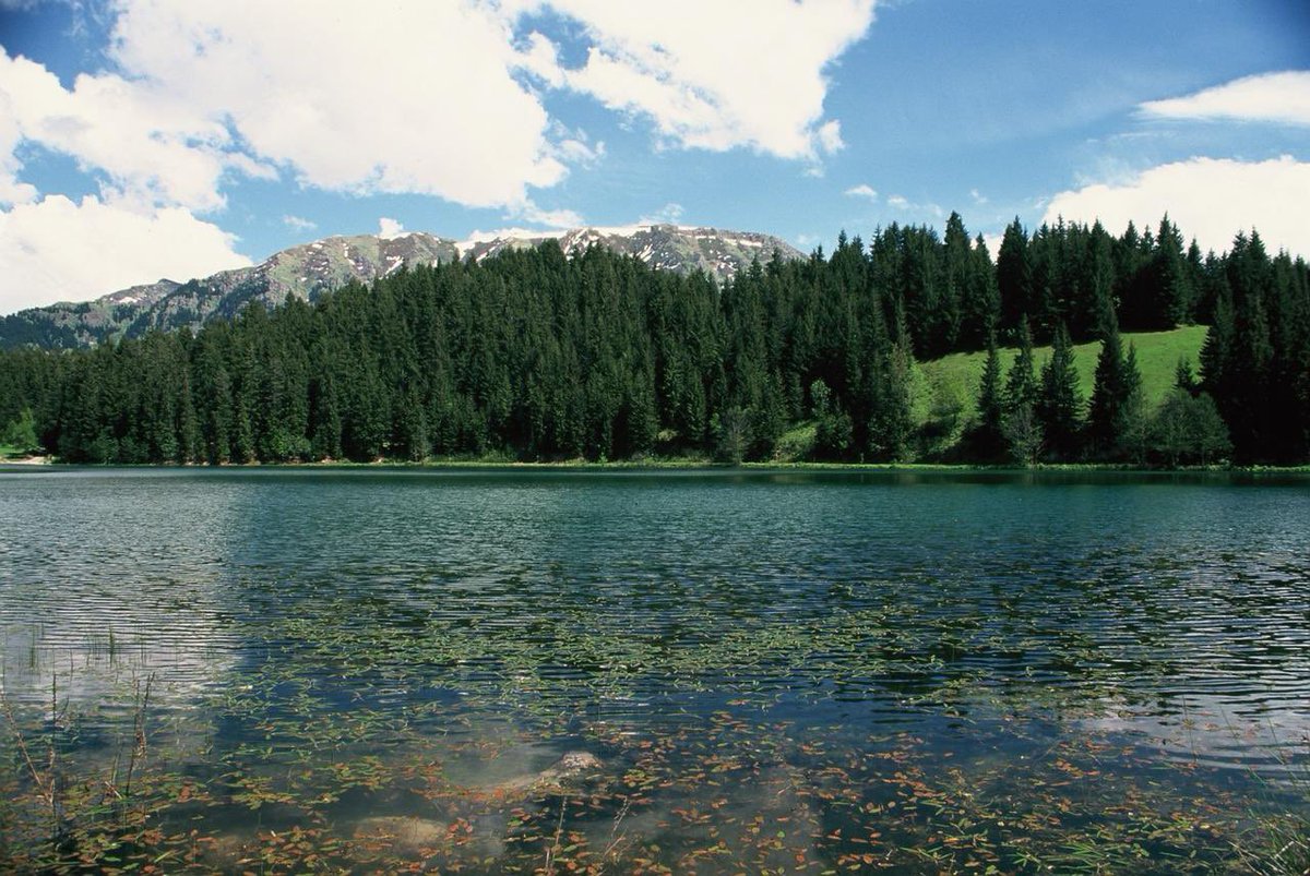 Oğuz Kurdoğlu tweet media