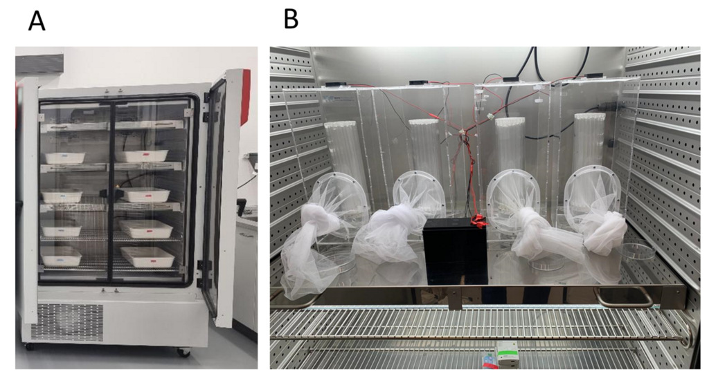 Parasite - The Journal tweet media