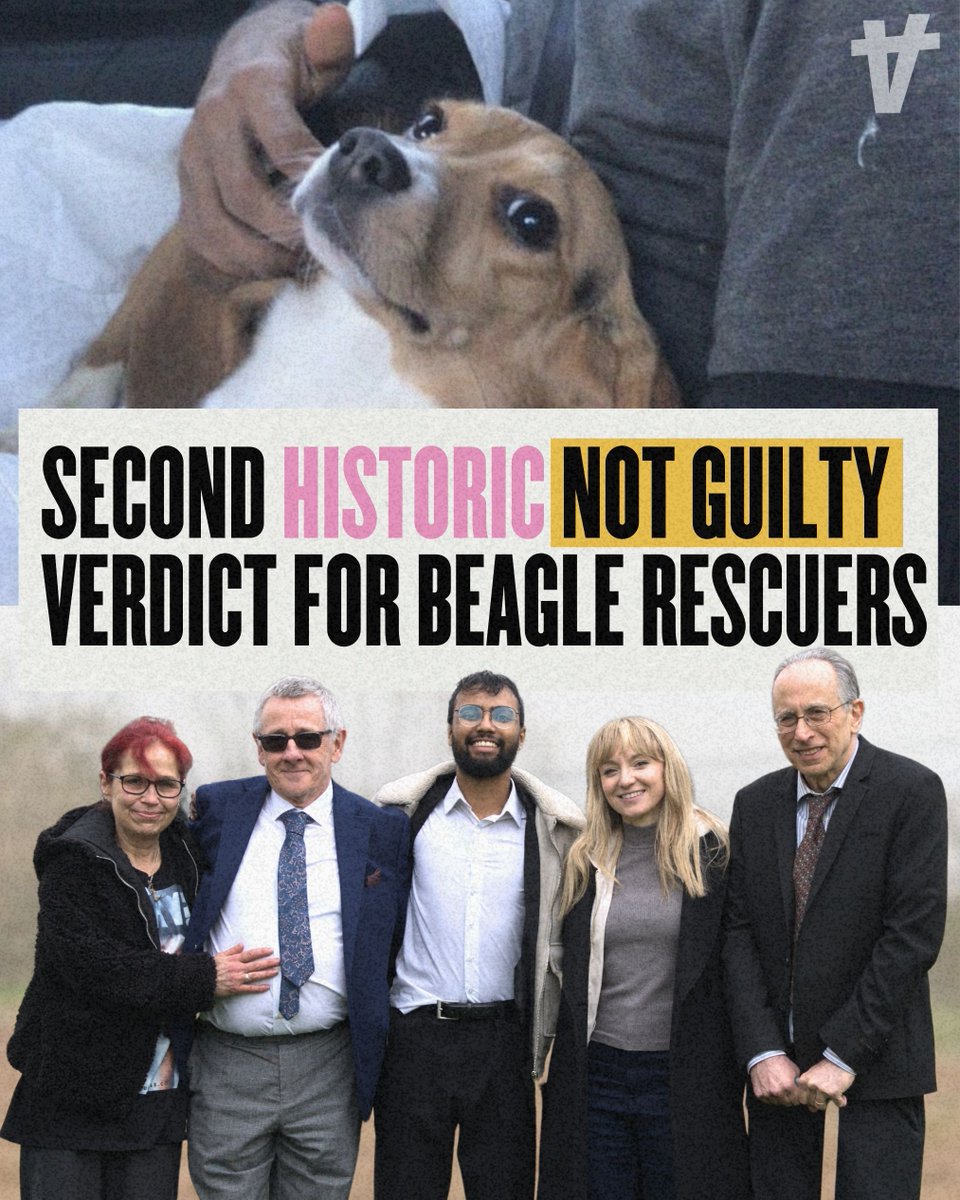 Animal Rising tweet media