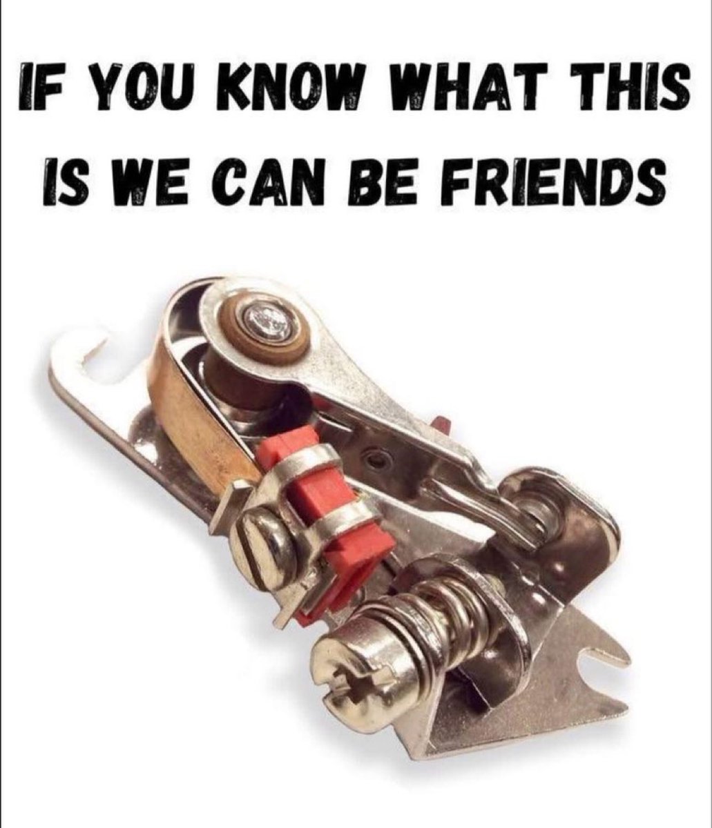 AlphaFox tweet media