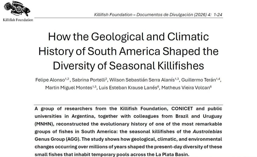 Killifish Foundation - Research and Conservation tweet media