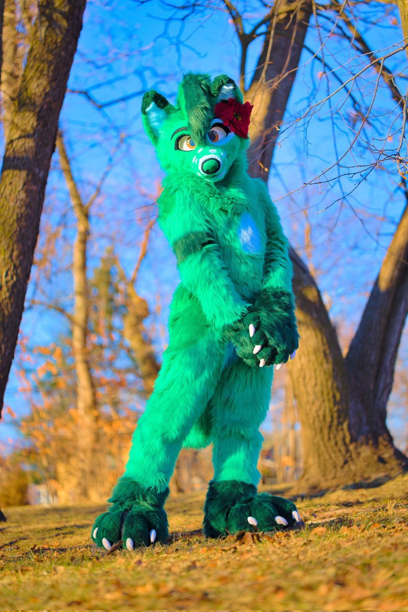 💚🐾Duke Doggo🐾💚 tweet media