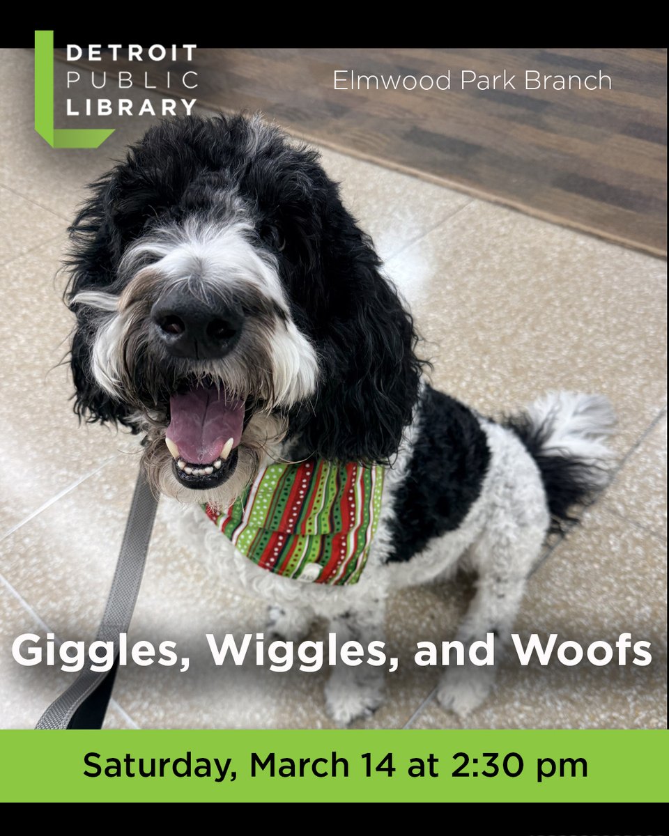 Detroit Library tweet media