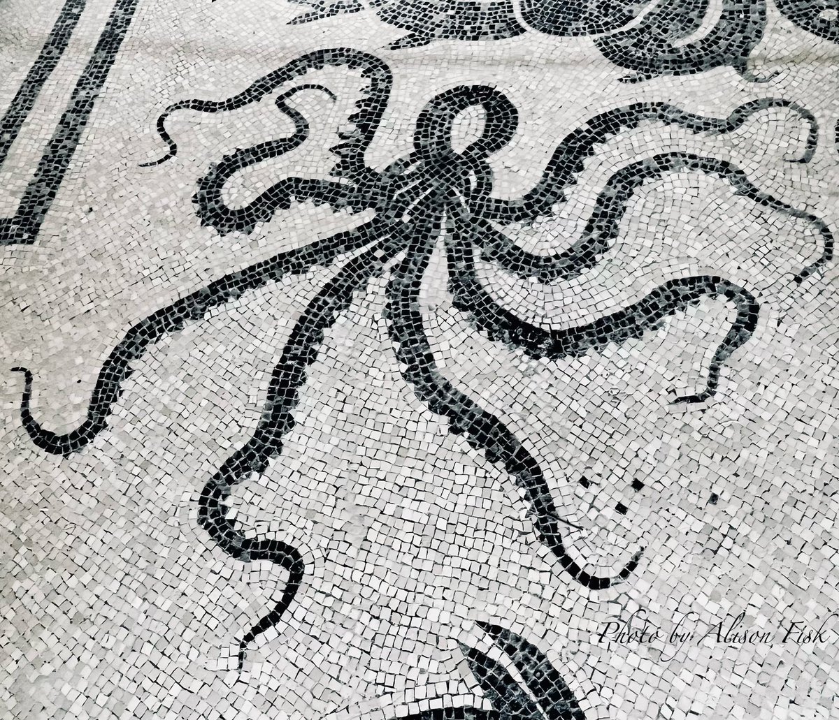 Spectacular octopus from the floor of the women’s changing room at the Central Baths in ancient Herculaneum.

📷 by me

#MosaicMonday
#Archaeology