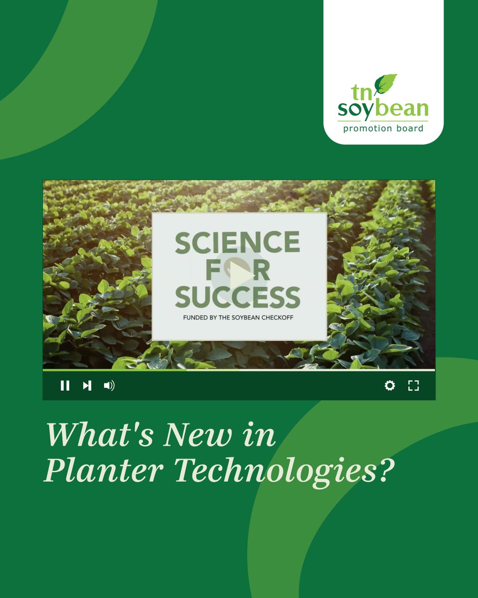 Tennessee Soybean tweet media