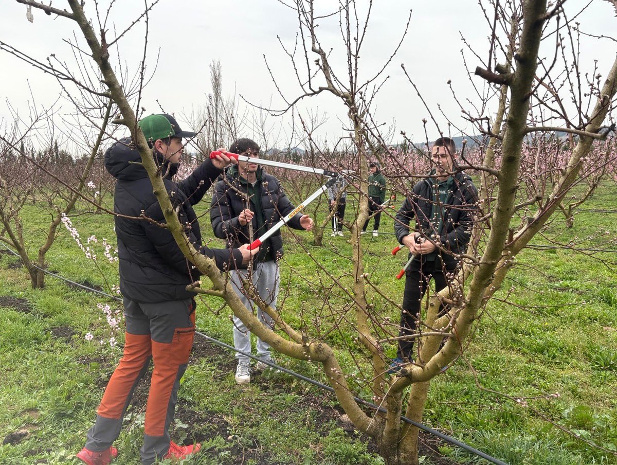 Escola Agrària del Solsonès tweet media