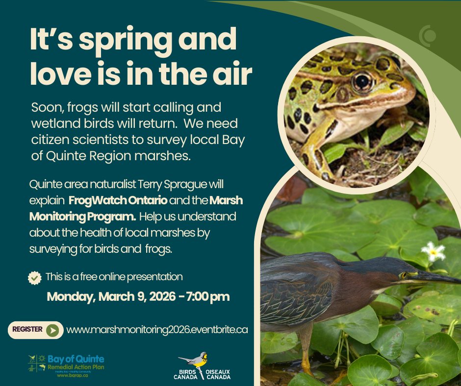 Bay of Quinte RAP tweet media