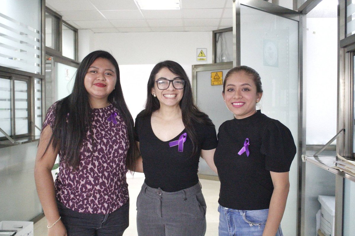codesvicampeche's tweet photo. En el marco de las actividades conmemorativas por el Día Internacional de la Mujer, la titular de la #CODESVI, Elvira de la Peña, invitó a las y los servidores públicos de la Comisión a portar los lazos distintivos como símbolo de reflexión y compromiso. https://t.co/xHfw6ak8ID