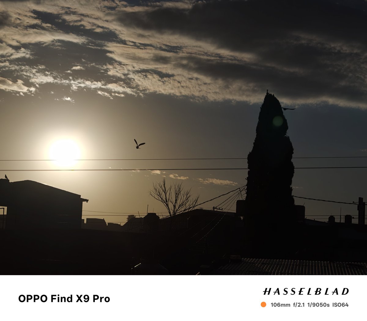 charly_tilittt's tweet photo. Fotos tomadas con el oppo find x9 pro 📲📸📱 hasselblad 

#oppo 
#hasselblad https://t.co/T0OAxN2jrq