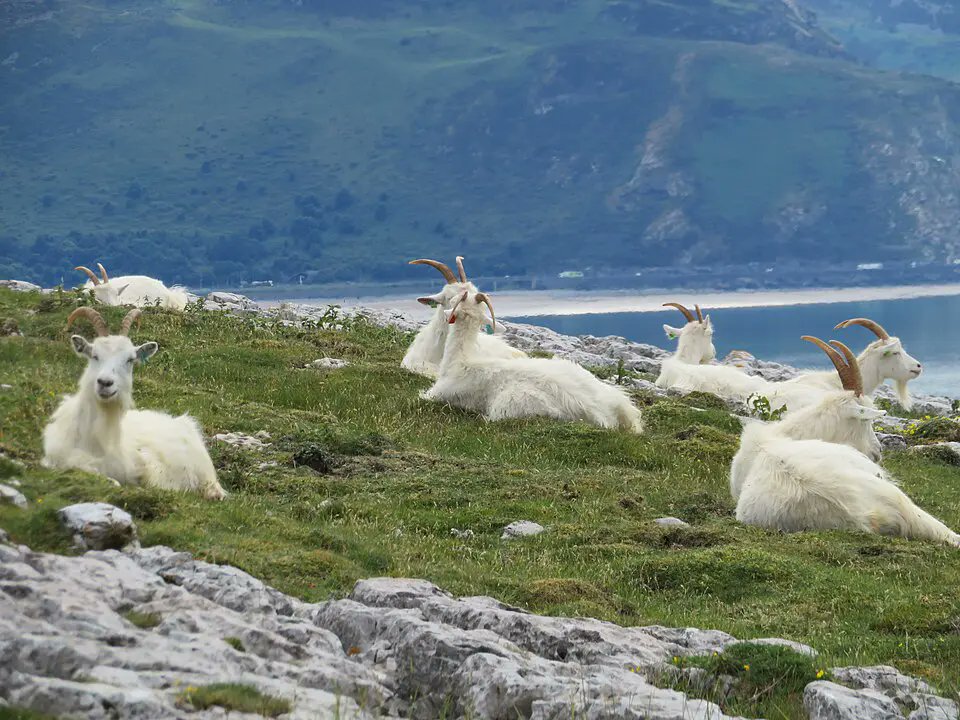 Sama Hoole tweet media