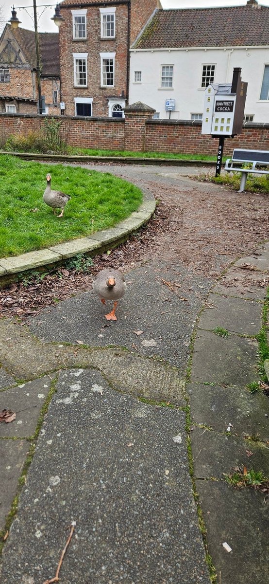 Cryptik Media tweet media