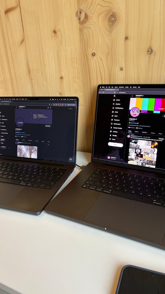 config.json tweet media
