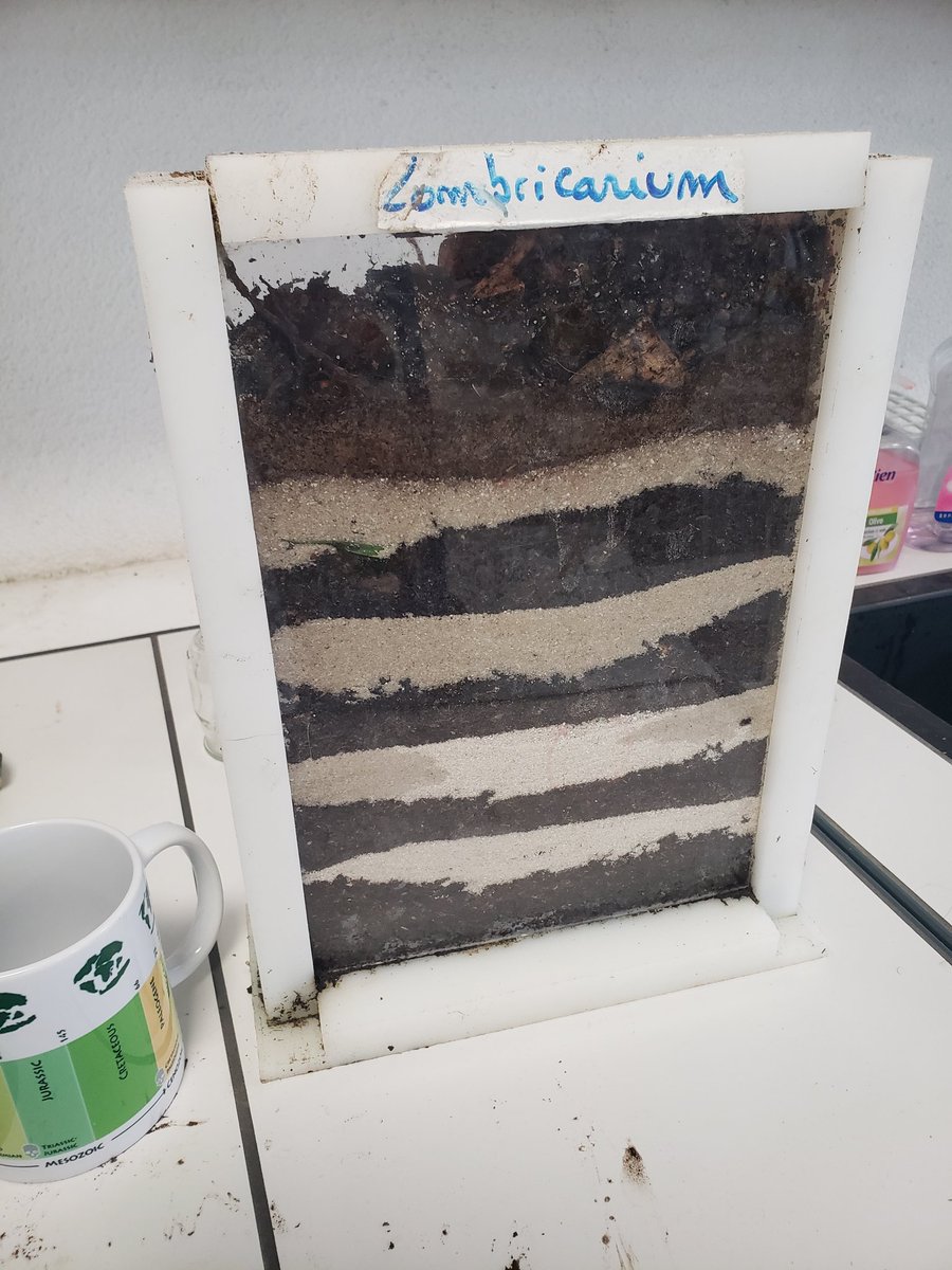 Julien Cabioch tweet media