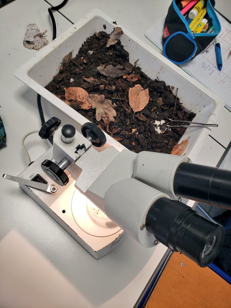 Julien Cabioch tweet media