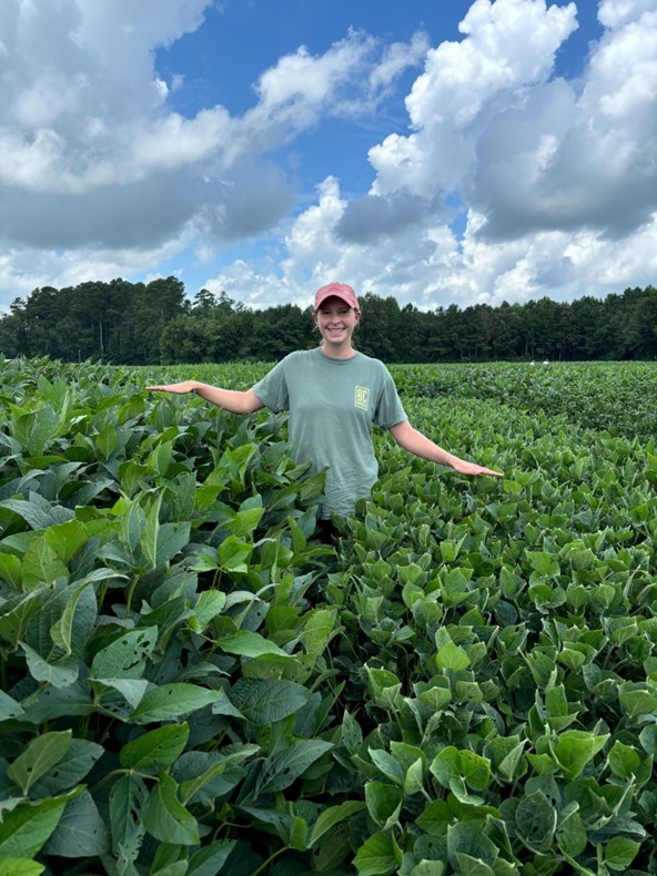 SoybeanResearchInfoNetwork tweet media