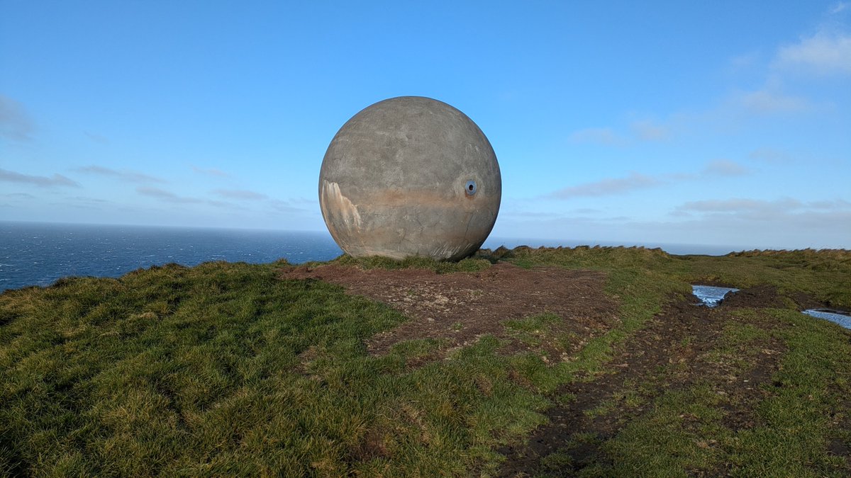 Thomas Curry tweet media