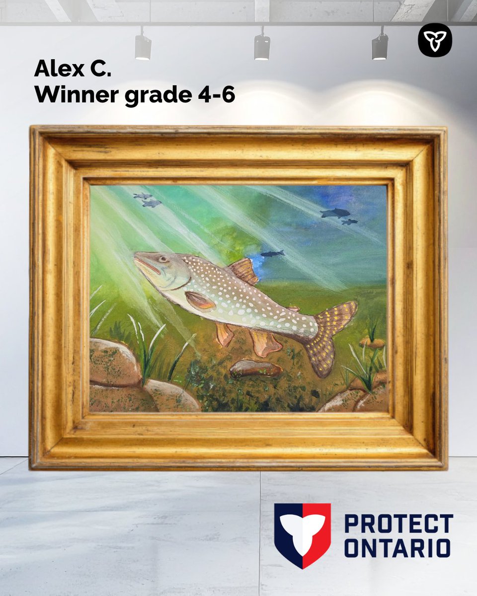 Ontario Fish and Wildlife tweet media