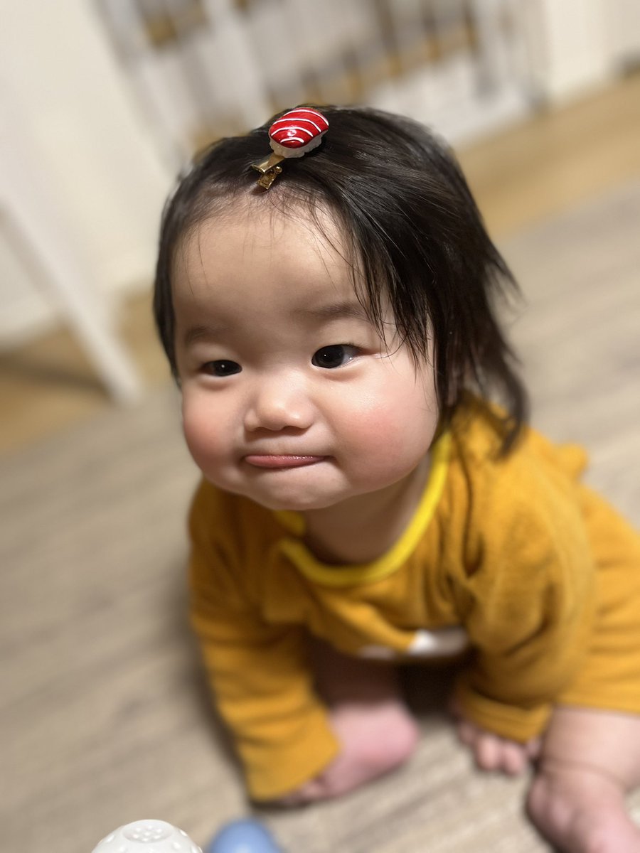 はっしー𓃠𓃡𓆡 tweet media