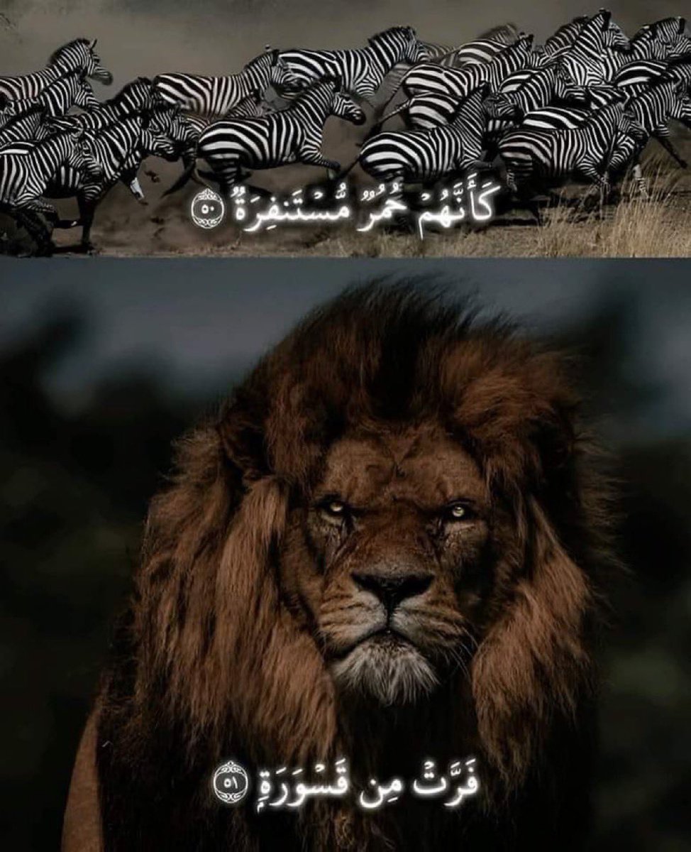 عبدالرحمن tweet media