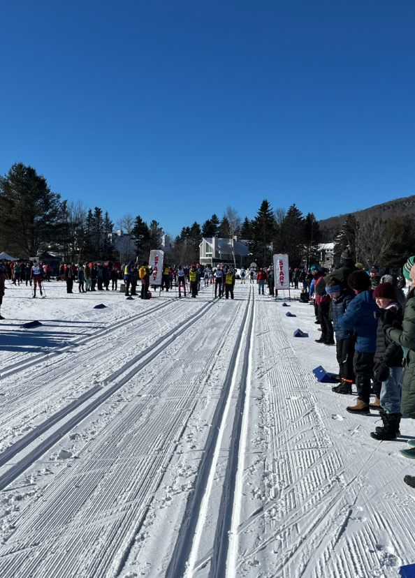 Paul Novosad tweet media