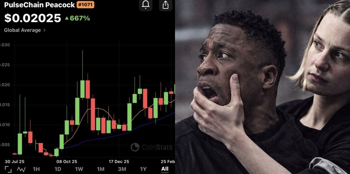 JoeyJoJo tweet media