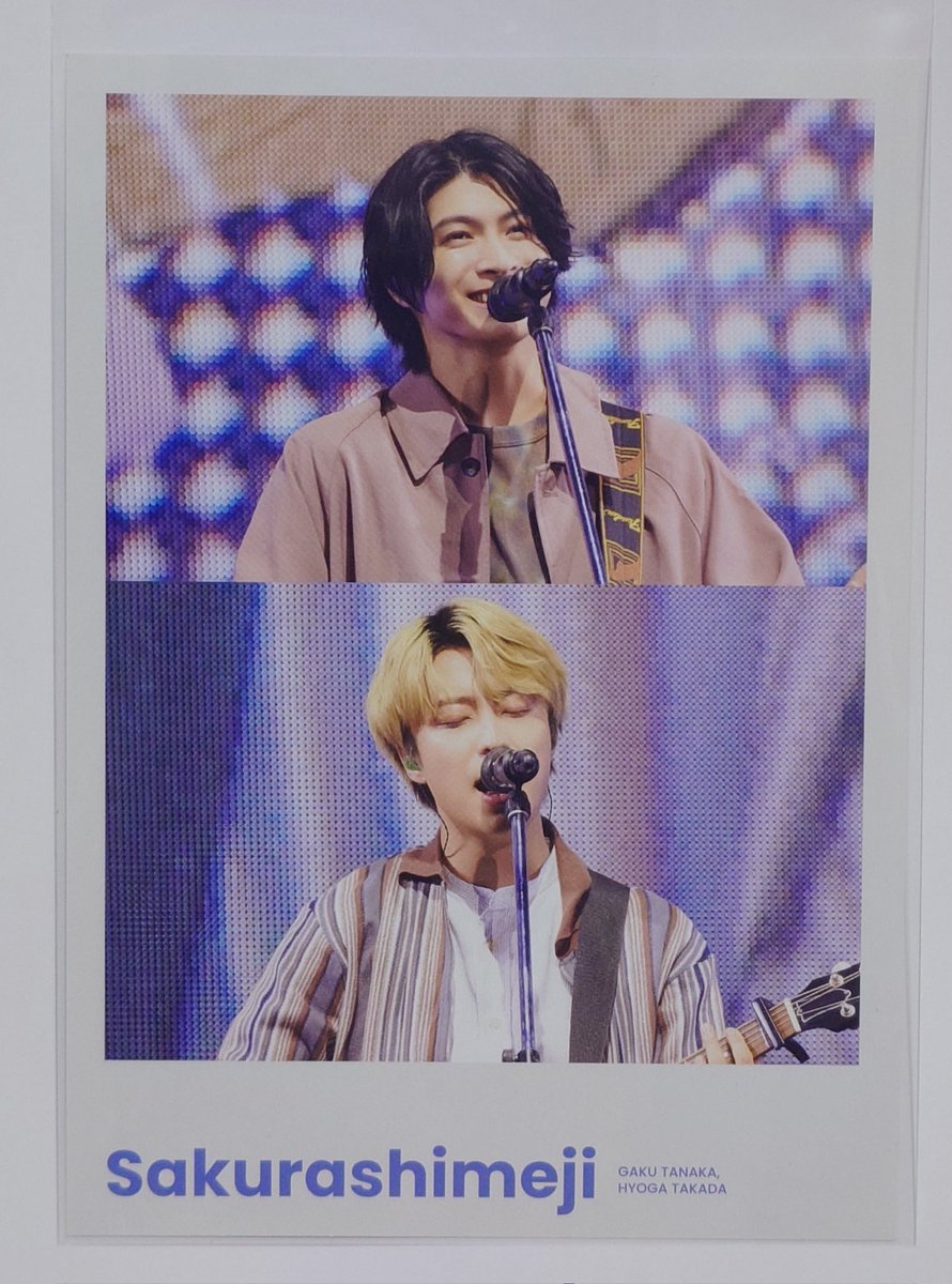 よつば🌼 tweet media