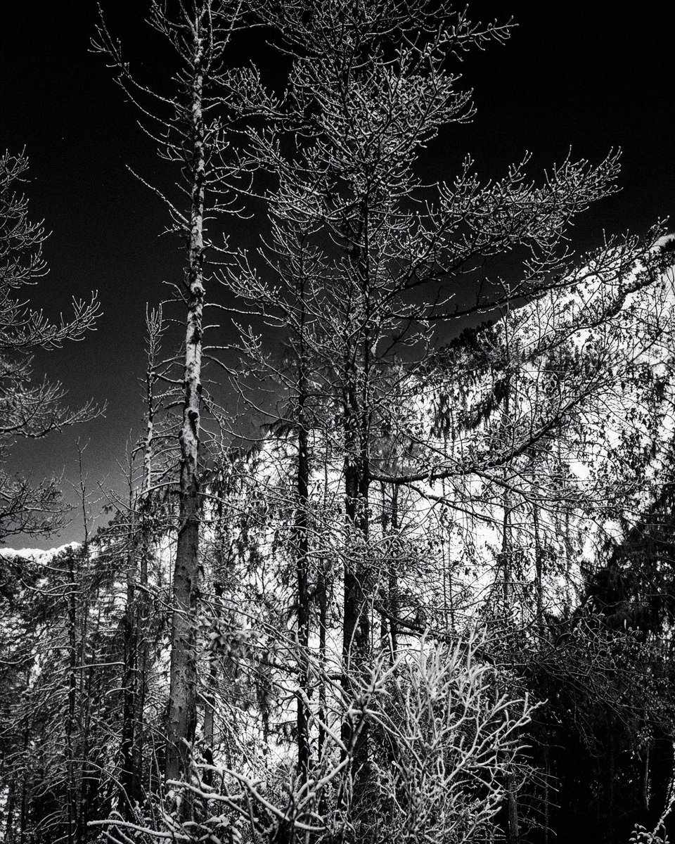 DIMITRII ANISIMOV tweet media