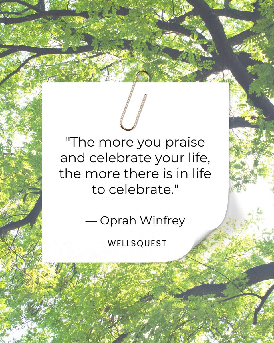 WellsQuest tweet media